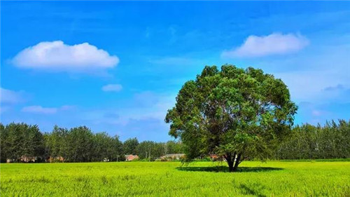 饱和度
