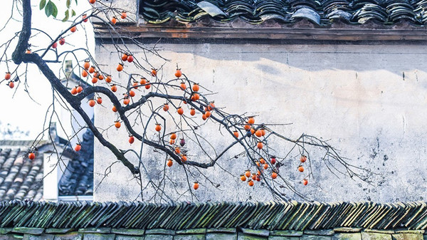 安徽塔川秋色高清大图