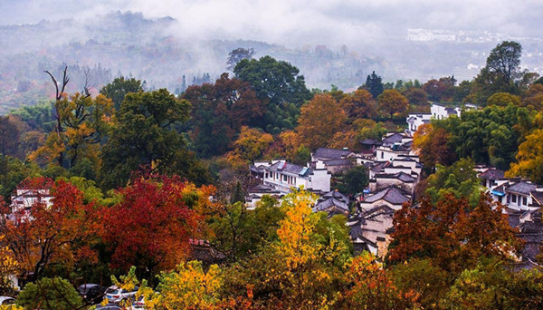 安徽塔川秋色高清大图