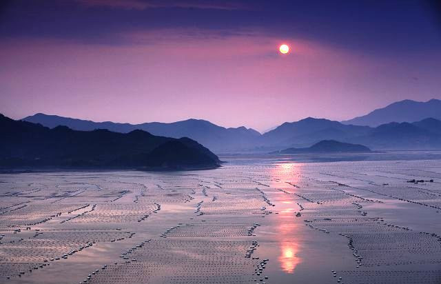 霞浦滩涂摄影作品