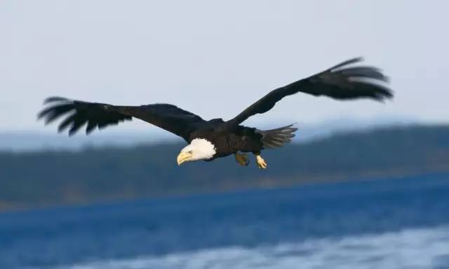 对角线构图的摄影作品