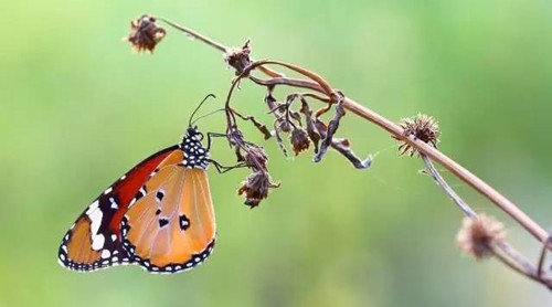 生活中对角线构图的运用
