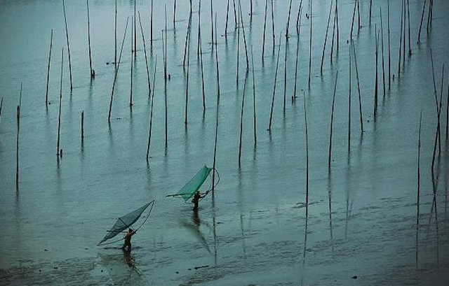 霞浦滩涂摄影作品