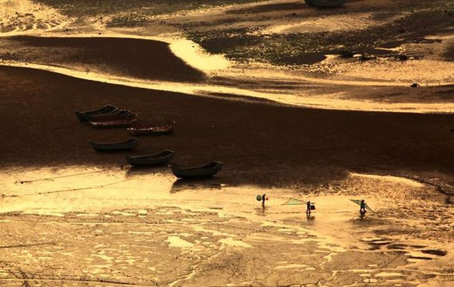 霞浦滩涂摄影作品