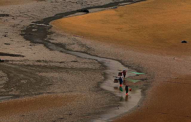 霞浦滩涂摄影作品