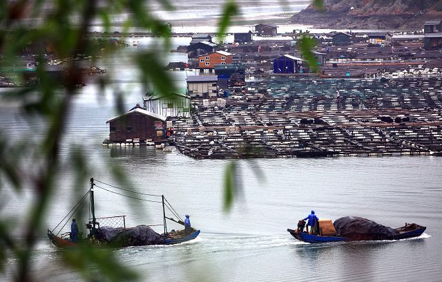 霞浦滩涂摄影作品
