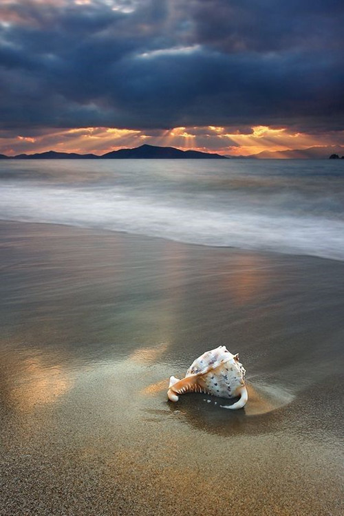 摄影为什么需要构图