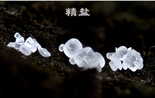 微距镜头焦距怎么选择