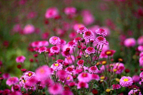 摄影的精神准备