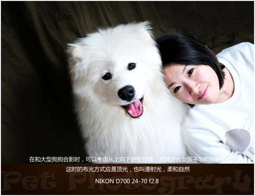 宠物摄影图片-图片26