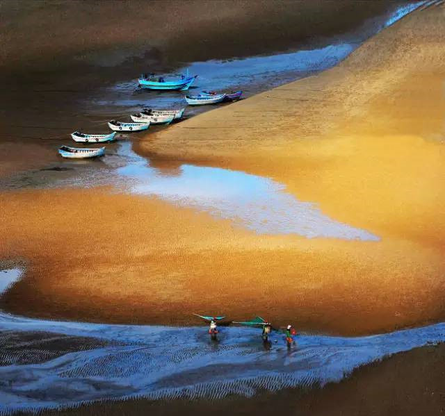 北岐滩涂图片-图片6