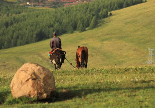 全景构图是什么