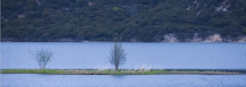 全景构图是什么