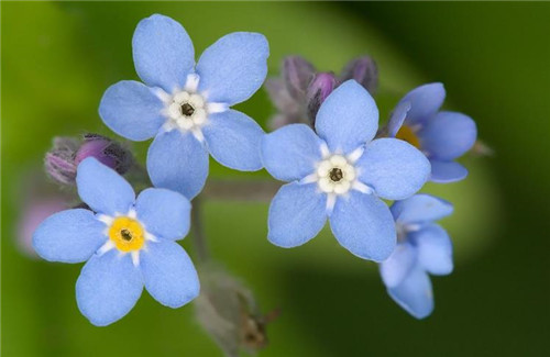 摄影照明的种类及技巧-图片2