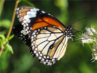 快门速度和光圈