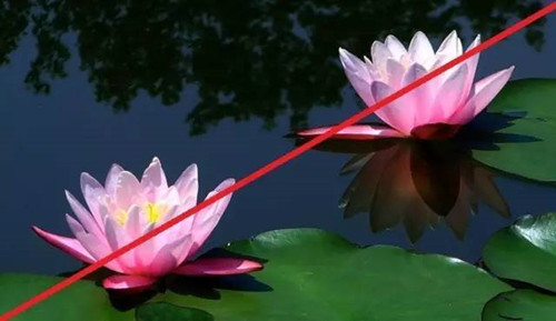 对角线构图什么意思