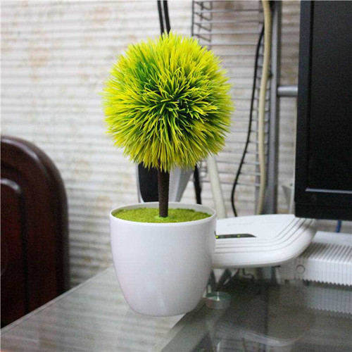 装饰室内的盆花经过-图片2