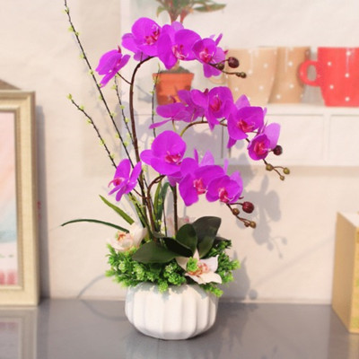 装饰室内的盆花拍摄技巧-图片2