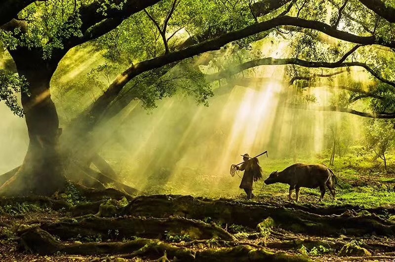 人文摄影作品-图片2