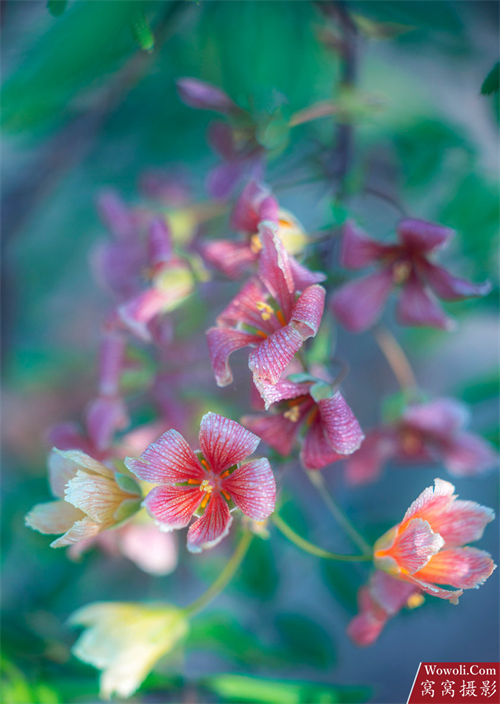 当季风光摄影作品-图片1