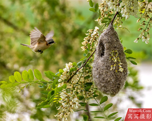 当季风光摄影作品-图片2