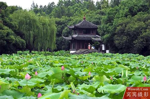 西湖十景-图片7