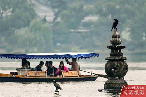 西湖十景-图片8