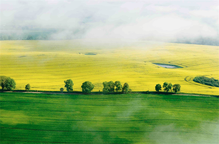 日常在线图片处理小技巧