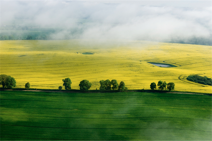 日常在线图片处理小技巧