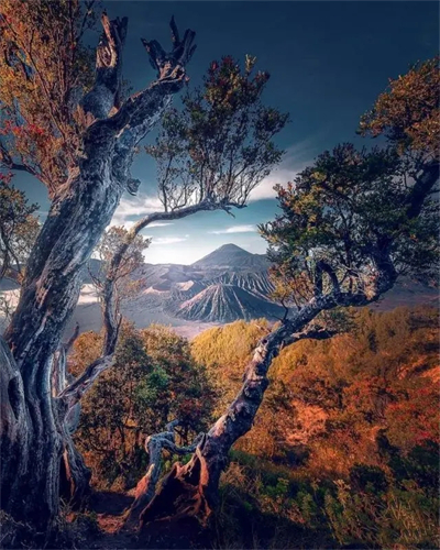 超清精美绝伦艺术摄影作品