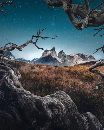 超清精美绝伦艺术摄影作品