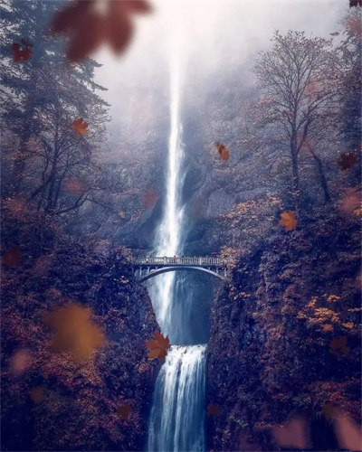 超清精美绝伦艺术摄影作品