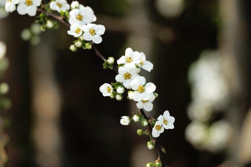 摄影照明的种类及技巧-图片8