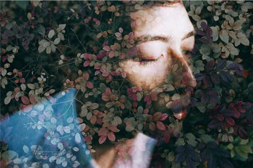 摄影拍摄手法的运用