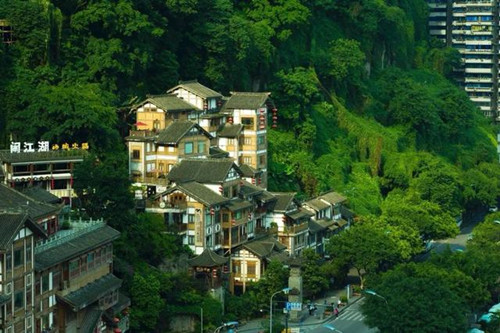 微距镜头可以拍人像和风景吗-图片3