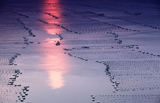 霞浦滩涂摄影作品