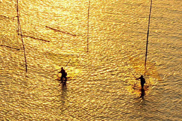 霞浦滩涂摄影作品-图片5