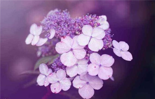 摄影照明的种类及技巧-图片4