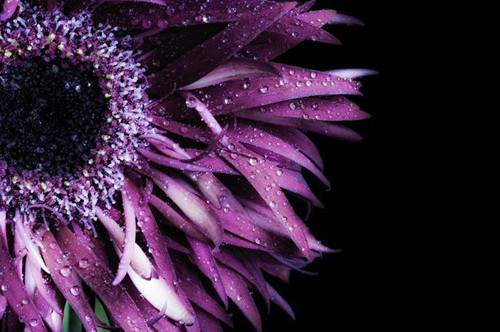 摄影照明的种类及技巧-图片9