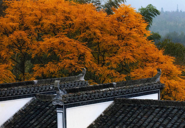 安徽塔川秋色高清大图