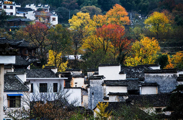 安徽塔川秋色高清大图