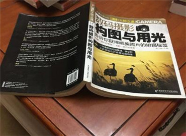 数码摄影构图与用光