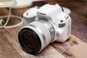 入门级单反推荐