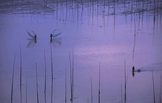 霞浦滩涂摄影作品-图片4