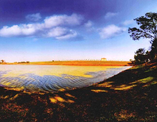 全景构图的技巧有哪些-图片4