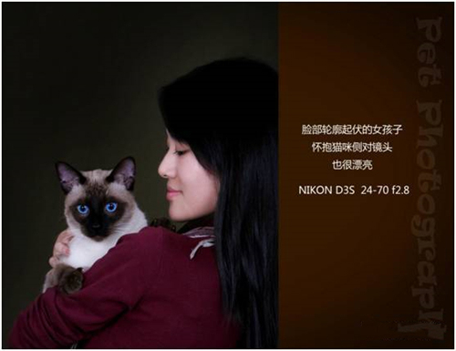 宠物摄影图片-图片28