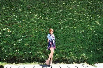 广角镜头是什么意思