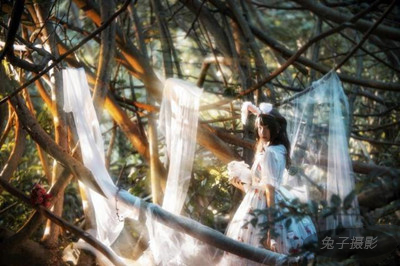 摄影光源的选择