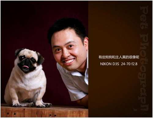 宠物摄影图片-图片29