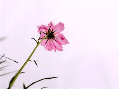 《我和我的国庆节》摄影比赛